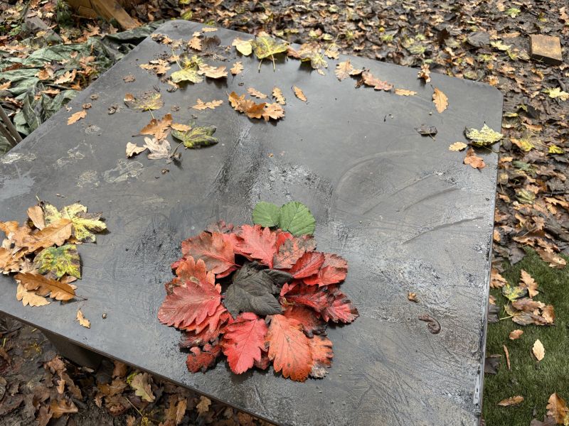 Image for the Tweet beginning: Stradbroke Forest School remembers… 

@StradbrokePri